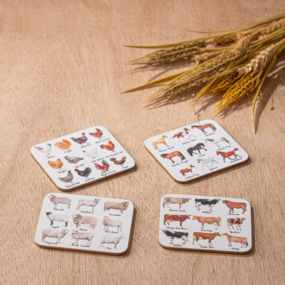 Ashdene Best In Breed Set Of 4 Coasters