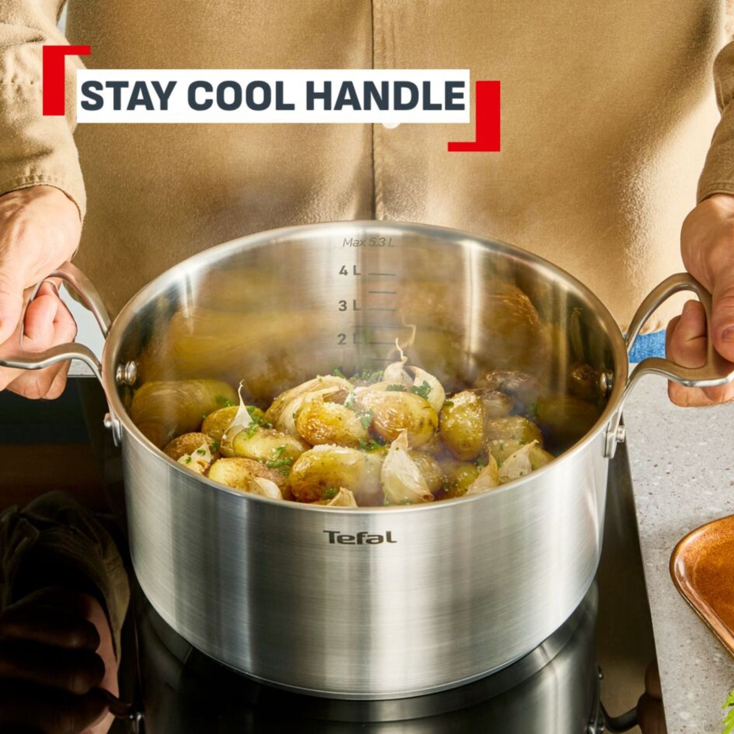 Tefal Space+ Extreme Induction Stainless Steel Stewpot 24cm & Lid