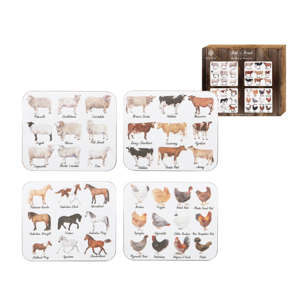 Ashdene Best In Breed Set Of 4 Coasters