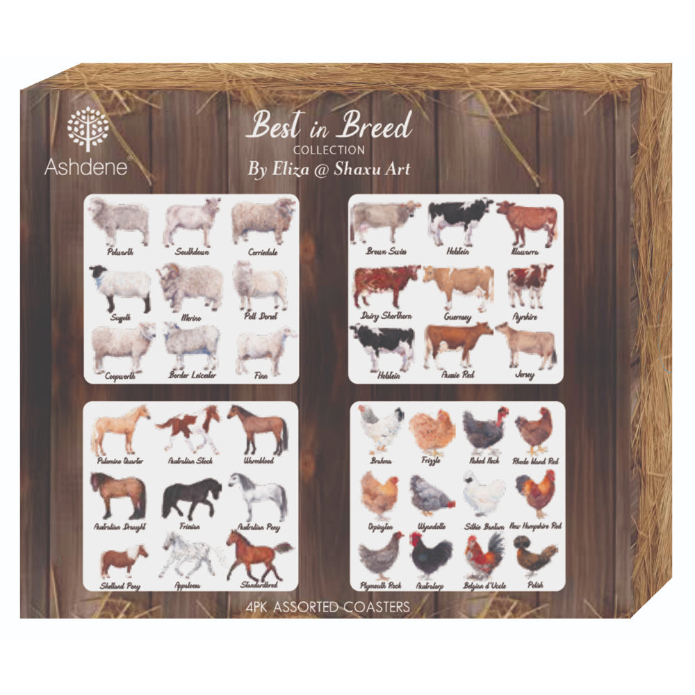 Ashdene Best In Breed Set Of 4 Coasters