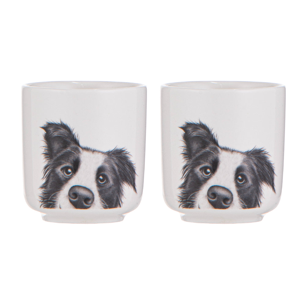 Ashdene Peeking Pups Border Collie Set of 2 Egg Cups