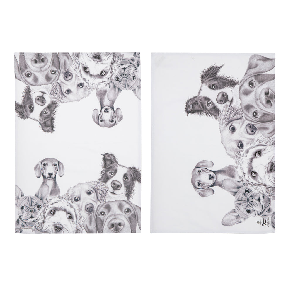 Ashdene Peeking Pups Set of 2 Kitchen Towels