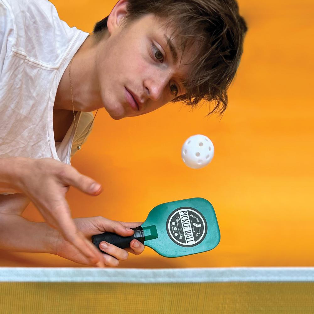 Maverick Desktop Pickleball