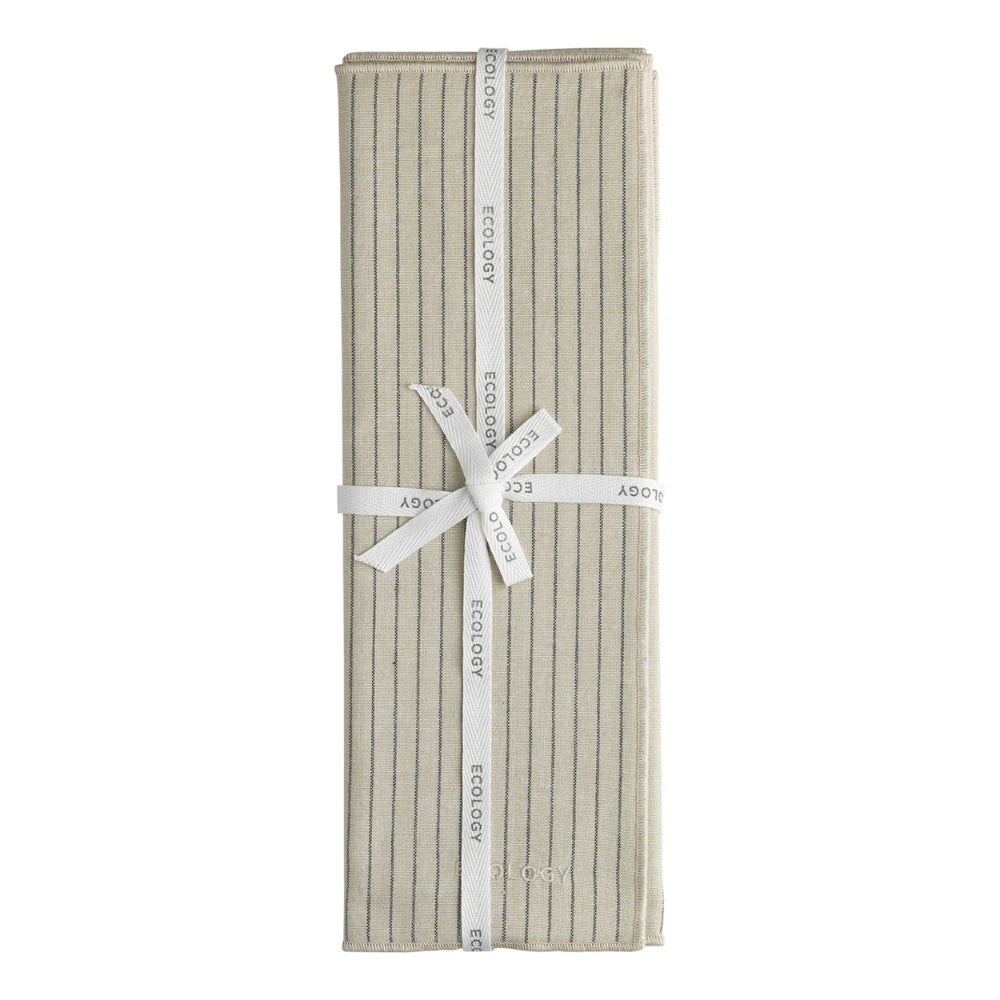 Ecology Tonka Set Of 4 Placemats