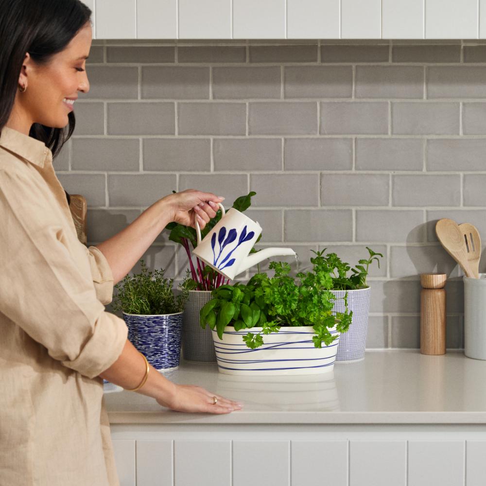 Royal Doulton Pacific Watering Can 21cm Blue