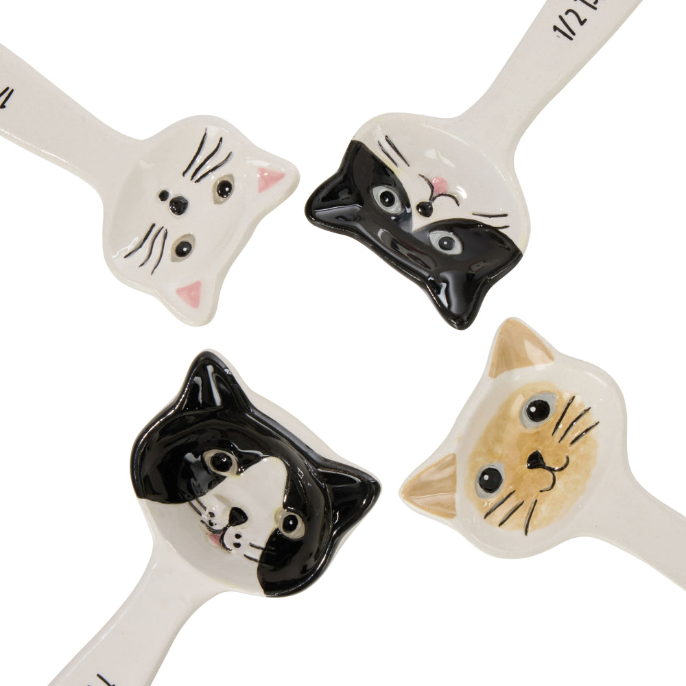 Davis & Waddell Whiskers Measuring Spoon Set