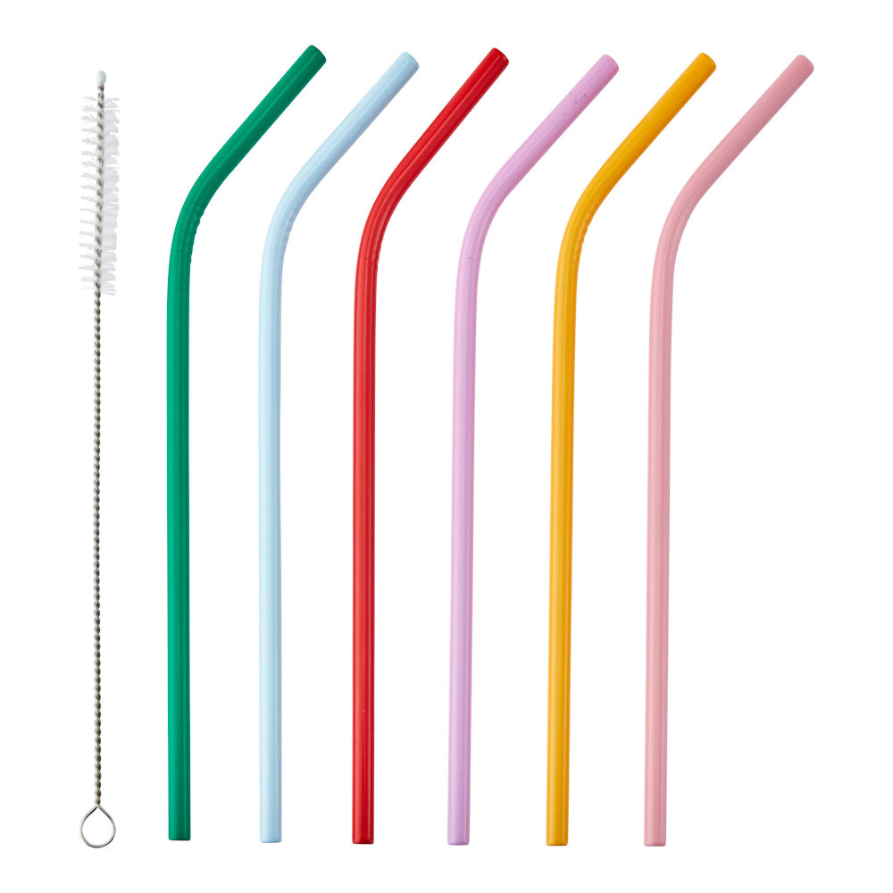 HAYDAE COLLECTIVE Set of 6 Straws