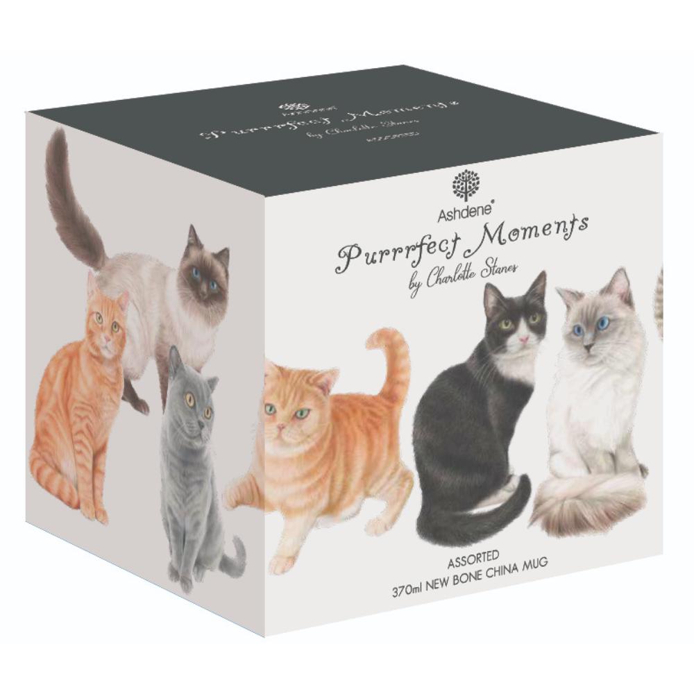 Ashdene Purrrfect Moments 3 Piece Infuser Set