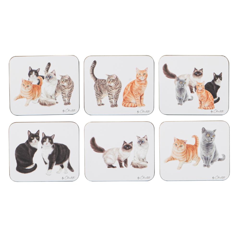 Ashdene Purrrfect Moments Set of 6 Coasters