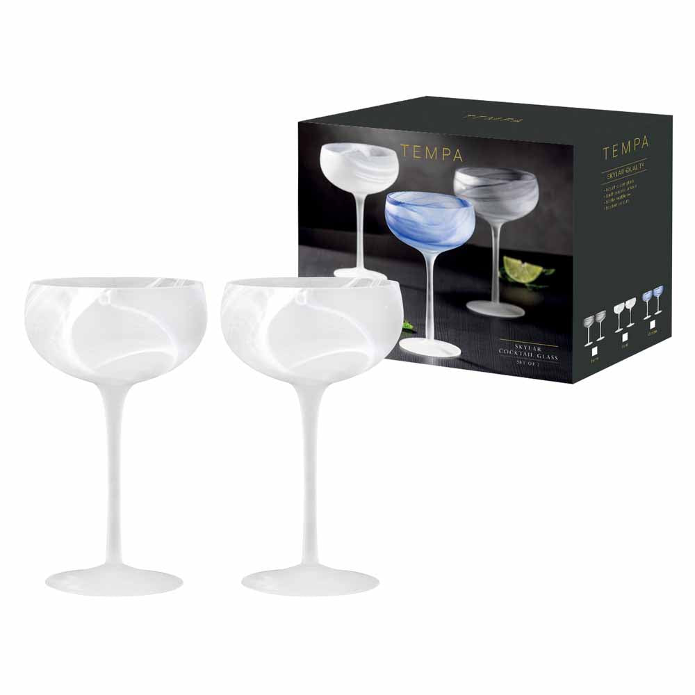 Tempa Skylar Set of 2 Cocktail Glasses