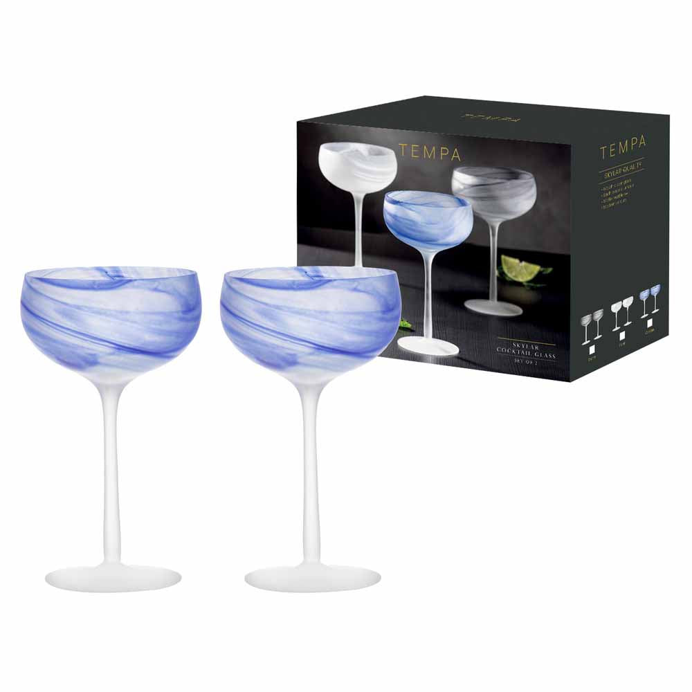 Tempa Skylar Set of 2 Cocktail Glasses