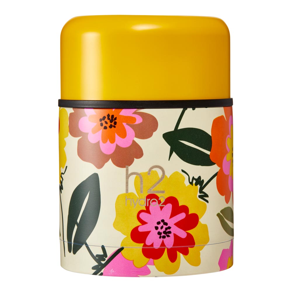 h2 Mizu Food Jar 500ml Robins Kitchen