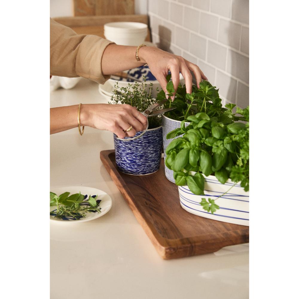 Royal Doulton Pacific Trough Herb Planter