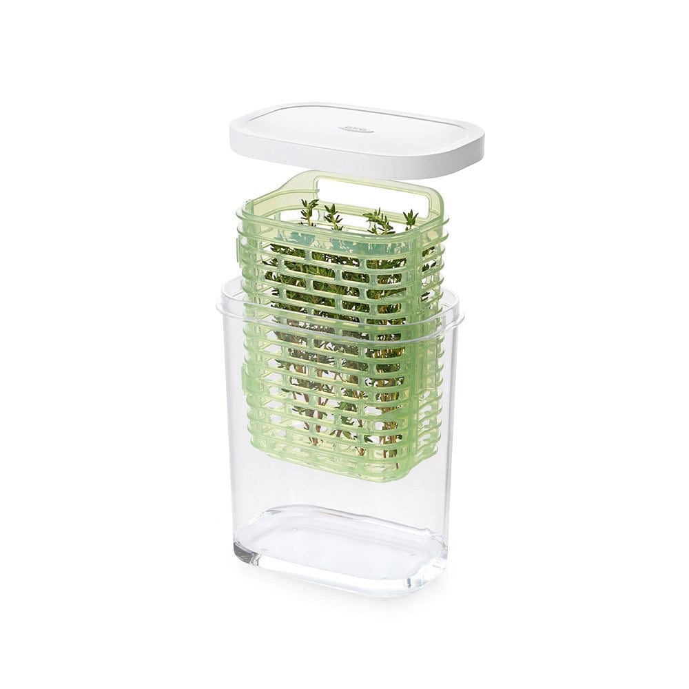 Oxo Good Grips Greensaver Small Herb Keeper Kitchen Storage Inside a Refrigerator at Robins Kitchen