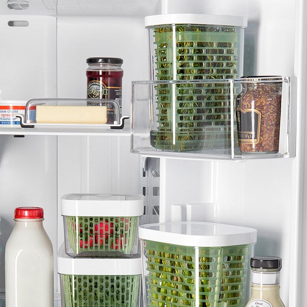 Oxo Good Grips Greensaver Small Herb Keeper Kitchen Storage Inside a Refrigerator at Robins Kitchen